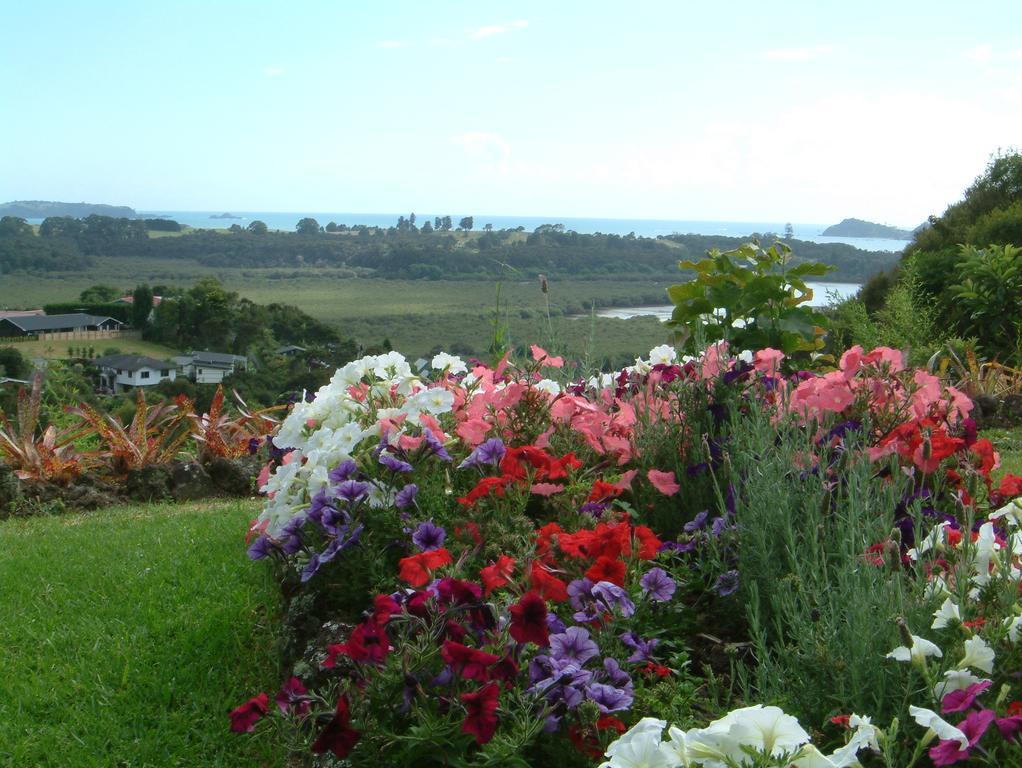 Baywaterviews Bed and Breakfast Haruru Rum bild