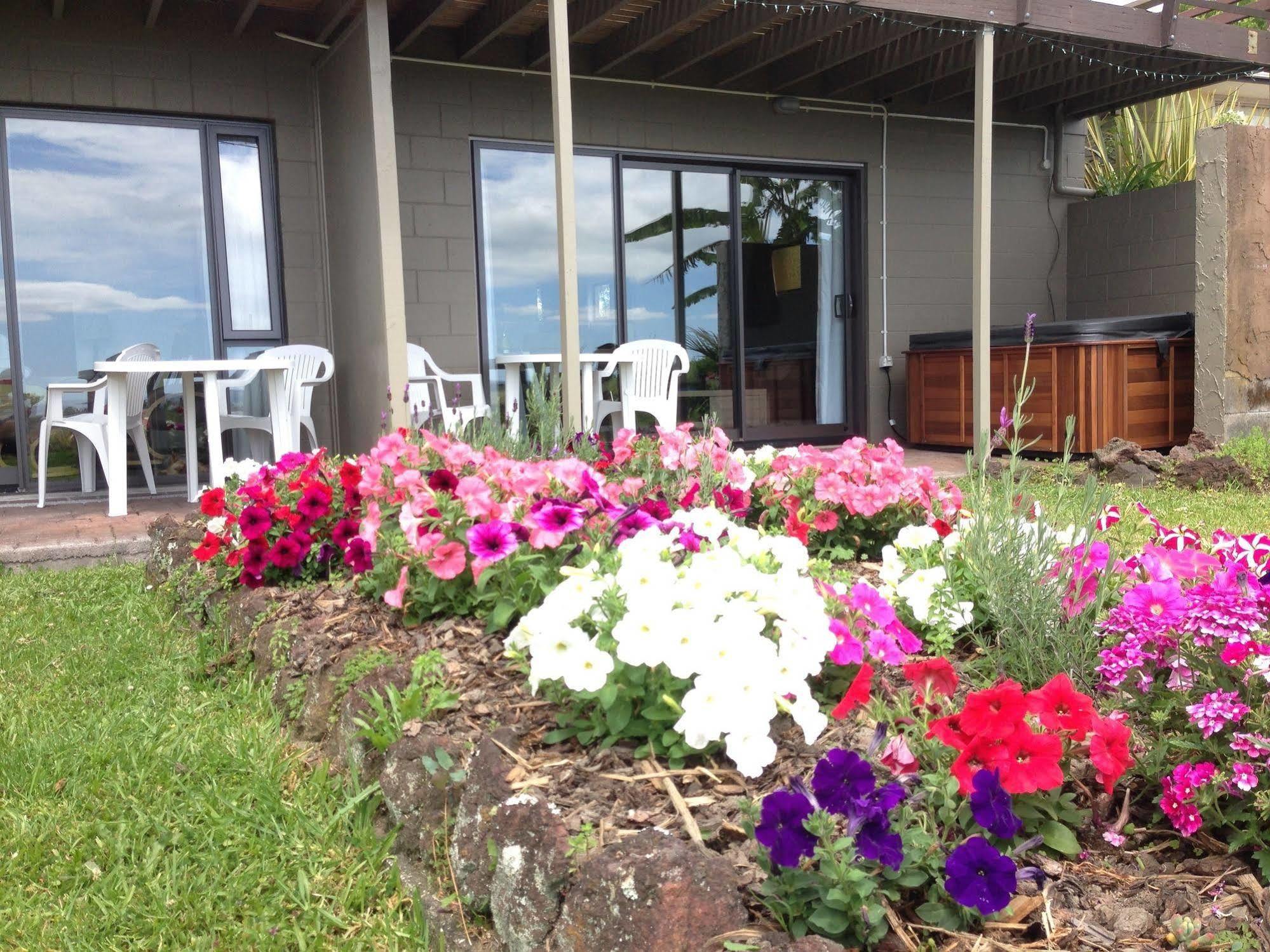 Baywaterviews Bed and Breakfast Haruru Exteriör bild